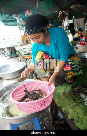 Kambodscha, Phnom Penh, Kandal Mercato, Schneidetisch eine Fischhändlers, Markt der Armen, hier gibt es alles, Lebensmittel, Werkzeug und Ersatzteile s Foto Stock