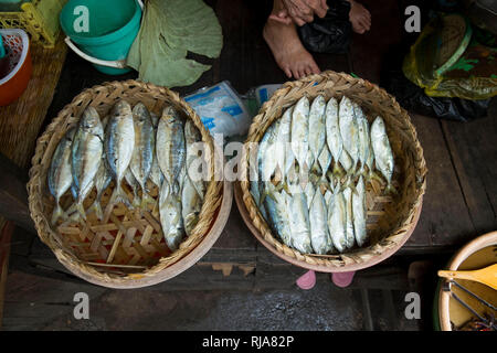 Kambodscha, Phnom Penh, Kandal Mercato, Schneidetisch eine Fischhändlers, Markt der Armen, hier gibt es alles, Lebensmittel, Werkzeug und Ersatzteile s Foto Stock