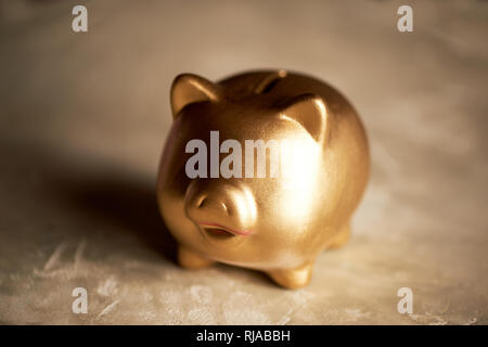 Simbolo del 2019.Gold pig salvadanaio con monete. La pianificazione finanziaria. Foto Stock