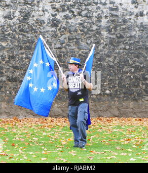 Manifestante solitario portando Unione europea bandiere di fronte al parlamento britannico, proteste contro il voto Brexit dopo il 2016 un referendum in cui il Regno Unito ha votato a lasciare l'UE. Foto Stock