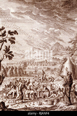 Ebrei combattere la piaga delle cavallette. Da Physique sacree, ou Histoire Naturelle-de la Bibbia, 1732-1737, da Johann Jakob Scheuchzer (1672 - 1733), un studioso Svizzero nato a Zurigo Foto Stock