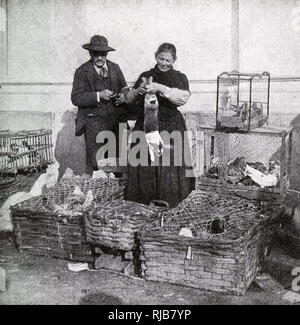 Mercato di strada scena a Nizza, Alpi Marittime, Francia Foto Stock