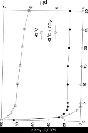 . La caratterizzazione e il confronto di piante e di crostaceo di polifenolo ossidasi : cinetica e inibizione mediante metodi chimici. Ossidasi--Analisi; Crostacei--Analisi; piante--l'analisi.. 163. c E I- AJ.IAIPB eAjJEjOU %. Si prega di notare che queste immagini vengono estratte dalla pagina sottoposta a scansione di immagini che possono essere state migliorate digitalmente per la leggibilità - Colorazione e aspetto di queste illustrazioni potrebbero non perfettamente assomigliano al lavoro originale. Chen, Jon-Shang. Gainesville, FL, Foto Stock