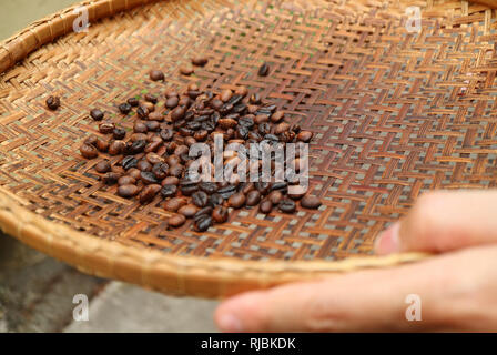 Setacciatura dark chicchi di caffè tostati con cesto di trebbiatura per preparare il caffè a casa Foto Stock