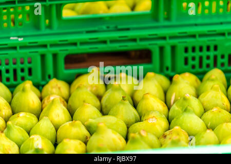 Fresche e mature giallo verde colore figure frutto di Chiusi, Italia estate street mercato agricolo il display in scatole di cassette Foto Stock