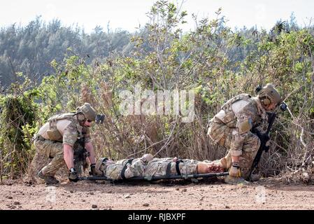 I soldati del bravo Company, 1-171st aviazione, Hawaii esercito Guardia Nazionale a fianco di avieri del 212th, Rescue Squadron, Alaska Air National Guard condotta pararescue formazione a Kahuku, Hawaii Gennaio 15, 2018. Questa è la prima volta che entrambe le unità allenati insieme incorporante la Chinook elicotteri CH-47 e pararescue formazione in preparazione per le implementazioni in programma. Foto Stock