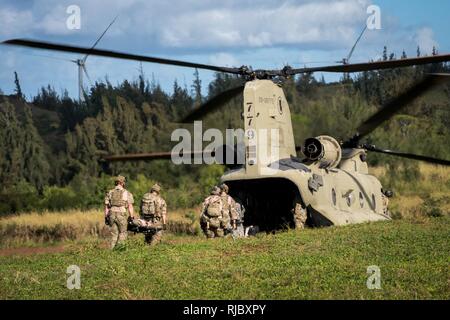 I soldati del bravo Company, 1-171st aviazione, Hawaii esercito Guardia Nazionale a fianco di avieri del 212th, Rescue Squadron, Alaska Air National Guard condotta pararescue formazione a Kahuku, Hawaii Gennaio 15, 2018. Questa è la prima volta che entrambe le unità allenati insieme incorporante la Chinook elicotteri CH-47 e pararescue formazione in preparazione per le implementazioni in programma. Foto Stock