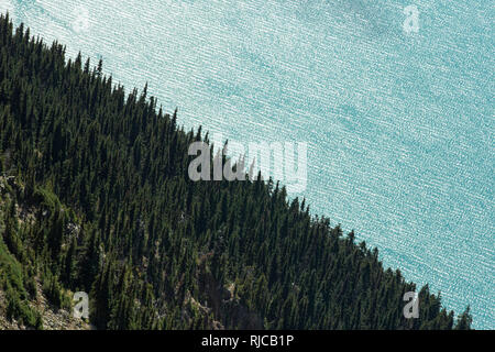 Kanada, British Columbia, Garibaldi Provincial Park, Panorama Ridge, Lago di Garibaldi Foto Stock