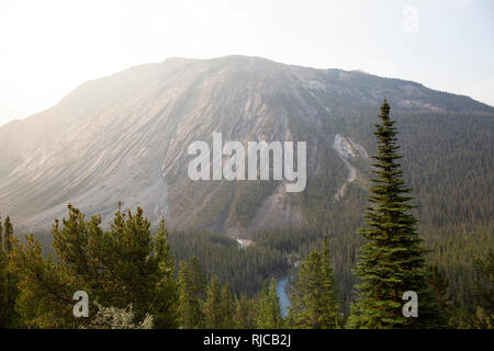 Kanada, Alberta, Kanadische Montagne Rocciose, Icefields Parkway Foto Stock