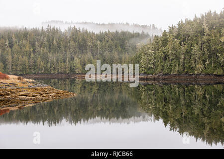 Kanada, British Columbia, Johnstone Strait, Owl Isola Foto Stock