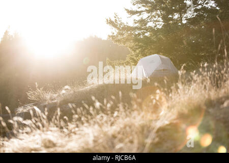 Kanada, British Columbia, Johnstone Strait Zelt auf Owl Isola Foto Stock