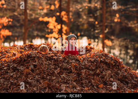 Due bambini seduti nel mezzo di un mucchio di foglie, Stati Uniti Foto Stock