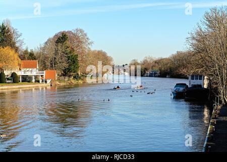Il fiume il Tamigi in un freddo soleggiato inverni giorno Sunbury Surrey in Inghilterra REGNO UNITO Foto Stock