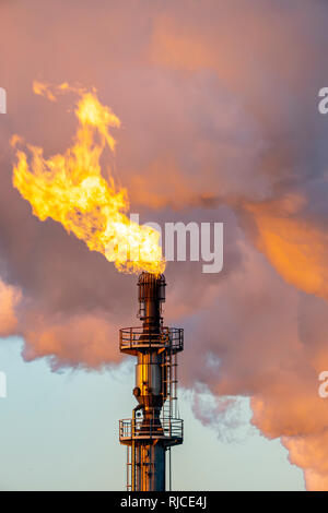 Posizione di acciaio Hamborn Duisburg, cokeria Schwelgern ThyssenKrupp Steel, torcia a gas, la svasatura off gas inutilizzato Foto Stock