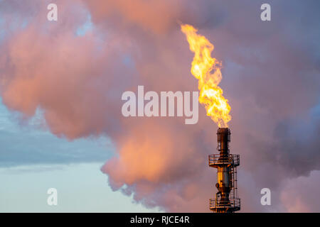 Posizione di acciaio Hamborn Duisburg, cokeria Schwelgern ThyssenKrupp Steel, torcia a gas, la svasatura off gas inutilizzato Foto Stock