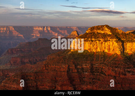 Il Grand Canyon visto dal Bright Angel Point sul bordo Nord, Arizona, Stati Uniti poco dopo l'alba. Foto Stock