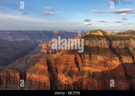 Il Grand Canyon visto dal Bright Angel Point sul bordo Nord, Arizona, Stati Uniti poco dopo l'alba. Foto Stock