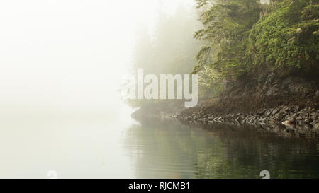 Kanada, British Columbia, Johnstone Strait K√ºste im dichten Nebel Foto Stock