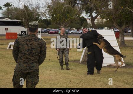 Gli ospiti che partecipano al primo Marine Corps Air Station (ICM) Yuma Winter Tour dell'anno osservare le capacità della stazione, una dimostrazione del K-9 unità ed un ostacolo corso dimostrazione in varie posizioni su ICM Yuma, Ariz., gen. 16, 2017. Le visite non sono state condotte negli ultimi due anni, ma sono stati ripresi da Col. David A. Suggs, la stazione comandante, per instaurare un rapporto migliore con la comunità. Foto Stock