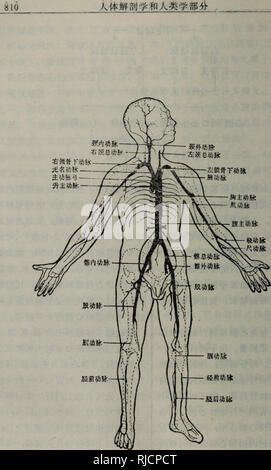 . Chang yong Sheng Wu ke ji ci dian. botanica. Å ¨èº"å¨èå¹²ae¦åµ. Si prega di notare che queste immagini vengono estratte dalla pagina sottoposta a scansione di immagini che possono essere state migliorate digitalmente per la leggibilità - Colorazione e aspetto di queste illustrazioni potrebbero non perfettamente assomigliano al lavoro originale.. zhou xi cheng. He Nan ke xue ji shu chu ban she Foto Stock