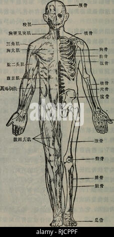 . Chang yong Sheng Wu ke ji ci dian. botanica. 734 ??????????? ??- ???&Lt;?? S?? ???. Si prega di notare che queste immagini vengono estratte dalla pagina sottoposta a scansione di immagini che possono essere state migliorate digitalmente per la leggibilità - Colorazione e aspetto di queste illustrazioni potrebbero non perfettamente assomigliano al lavoro originale.. zhou xi cheng. He Nan ke xue ji shu chu ban she Foto Stock