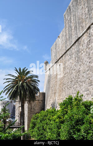 La parte esterna del cancello Ploce e le pareti principali sulla parte esterna del paese vecchio di Dubrovnik, Croazia Foto Stock