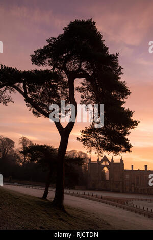 Inverno a Sunrise Newstead Abbey nel Nottinghamshire, England Regno Unito Foto Stock