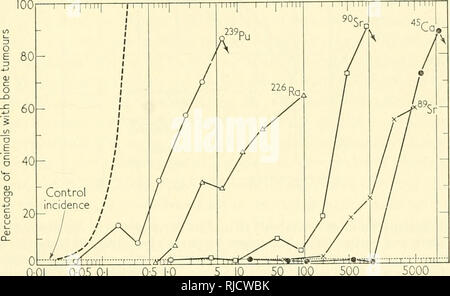 . Base cellulare e eziologia del tardo effetti somatici di una radiazione di ionizzazione. Radiazione -- effetto fisiologico. Carcinogenesi come il risultato di due società indipendenti di eventi rari E. H. MOLE 31.R.C. Radiobiological unità di ricerca, Harivell, Inghilterra sommario le prove umane sull'aumento di incidenza del cancro nei sopravvissuti alla bomba atomica esplosione presso Hiroshima (che varia con l'età dell'individuo al tempo di esposizione) e l'animale prove relative quantità di osso-cerca di isotopo e osso- incidenza del cancro sono entrambi compatibili con l'ipotesi generale che il cancro si pone come un risultato Foto Stock
