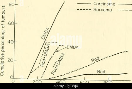 . Base cellulare e eziologia del tardo effetti somatici di una radiazione di ionizzazione. Radiazione -- effetto fisiologico. Carcinogenesi 127 riflessa nella notevolmente ridotto periodo di induzione per gli idrocarburi e la maggiore resa del tumore. Per sarcomi nei ratti lo stesso dicasi per quanto riguarda histogenesis e la durata del periodo di induzione, ma la resa dei sarcomi è circa la stessa per i due agenti cancerogeni. La condizione essenziale per la formazione del tumore in caso di forte irradiazione locale sembra essere la induzione di specifici e progressivi cambiamenti vascolari in forma Foto Stock