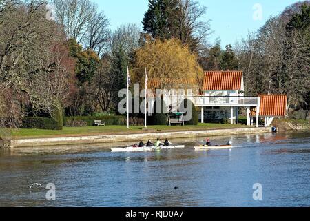Un coxed quattro barca praticare canottaggio sul fiume Tamigi su un soleggiato inverni giorno fino a Sunbury Surrey in Inghilterra REGNO UNITO Foto Stock