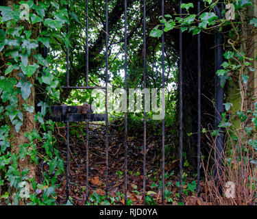 Nascosti in ferro battuto porta ad un giardino segreto, Welwyn Village, Inghilterra. Foto Stock