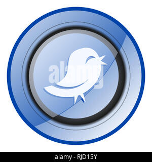 Twitter round lucida blu web design icona isolati su sfondo bianco Foto Stock