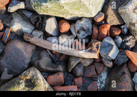 Un osso tra i sassi della riva del fiume Tamigi a Londra, Regno Unito. Vedendo le ossa sulla riva del Tamigi è abbastanza comune - probabilmente resti di Foto Stock