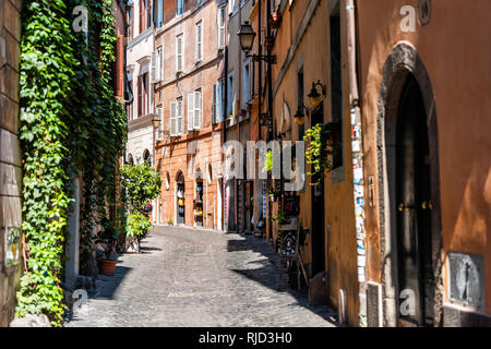 Roma, Italia - 4 Settembre 2018: Italiano fuori dai tradizionali stretto vicolo vuoto con nessuno su strada nel centro storico della città di edera piante estive Foto Stock