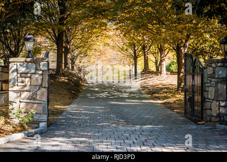 Cancelli di ingresso aperto con road durante l autunno dorato nel paesaggio rurale in Virginia station wagon con lanterne e acciottolata strada percorso con alberi Foto Stock