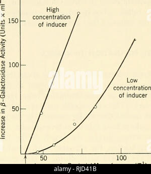 . Eredità di cella. Citogenetica. Ereditarietà IN CELLULE SOMATICHE 381 Figura 12.12. Formazione di /3-galattosidasi in E. co/i in risposta a differenti concen- trotions di induttore (da Cohn, in: McElroy e vetro (eds.), la base chimica di sviluppare- ment, Baltimora Johns Hopkins Press, p. 458).. 50 100 aumento della massa batterica (brocca x ml^), in una moda autocatalitica. A bassi livelli di induttore, ogni cella ha una piccola probabilità costante di formando una molecola di permease; una volta che si esegue il processo di induzione va in modo esponenziale per il completamento. Il processo di induzione enzimatica è sotto queste c Foto Stock