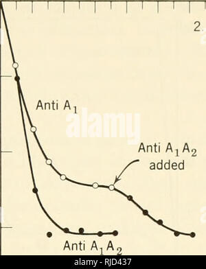 . Eredità di cella. Citogenetica. Ereditarietà IN CELLULE SOMATICHE 375 y"" 1. 0.1 Anti A, - 0,01 - V - 0.001 rettificato 1 1 1 ! 1 1 1. I I I I I 1 I I I I I 2 4 Stadio 8 10 12 Figura 12.10. Diluizione isotopica curve su cellule provenienti da un donatore^^. In (1), i cerchi pieni rappresentano i risultati di sottrarre i valori sperimentali che valore obtoined allo stadio 6. Essa mostra che la agglutinable cellule sono state perse a un tasso costante. In (2), l'impiego di due specifici agglutinina mostra che A j il sangue aveva entrambi A2 e O cellule (da Atwood e Scheinberg, 1958, J. Cell. &Amp; Comp. Physiol., 52, S Foto Stock