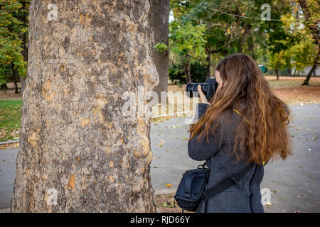 SOFIA, BULGARIA - 14 ottobre 2018: bellissima femmina fotografo prende close-up foto di acero tronco, parte centrale della capitale bulgara. Moody nuvoloso pomeriggio d'autunno. La lente ha CPL Hoya filtro Foto Stock