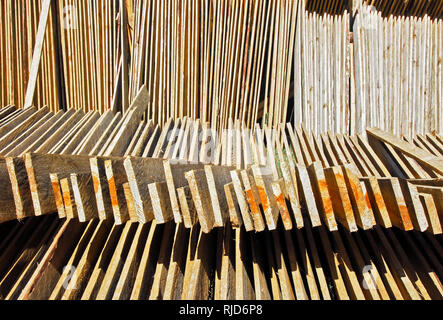 Tagliare e contrassegnati in legno di pino plance posati per essiccazione al sole, visto vicino Sagada Città, Provincia di montagna, Filippine Foto Stock