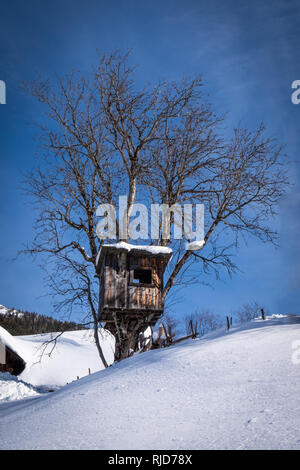 Treehouse di piccole dimensioni su un albero in coperta di neve invernale in vacanza-resort Hohentauern in Stiria, Austria Foto Stock