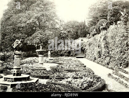 . Il secolo libro di giardinaggio; un lavoro completo per ogni amante del giardino. Il giardinaggio. Offerta di impianti per il giardino estivo 47. Un giardino SCOITISH. in ambienti chiusi in ottobre. Nello stesso luogo Stag il corno di felci (Platycerium) e grande Nephrolepis sono coltivate appositamente sul in legno di teak e zattere sul robusto, fibroso di zolle di argilla, così che essi possono essere cablate saldamente al nodose e mossy tronchi degli alberi a sbalzo il flusso e l'effetto è piuttosto unico e sorprendente, le piante sembrano del tutto naturale in mezzo a loro frondosi e dintorni rocciosi. Uno dei più sottili di tutte le condizioni in questione Foto Stock