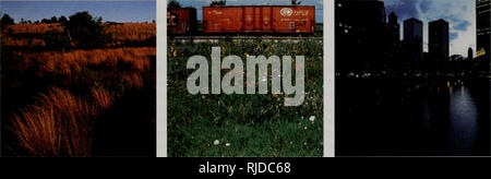 . La modifica di Illinois ambiente : importanti tendenze : relazione riassuntiva delle tendenze critiche progetto di valutazione. L'uomo; inquinamento; la protezione ambientale; Ecologia; valutazione dell'impatto ambientale. Thf cambiando Illinois ambiente onde del cambiamento. Si prega di notare che queste immagini vengono estratte dalla pagina sottoposta a scansione di immagini che possono essere state migliorate digitalmente per la leggibilità - Colorazione e aspetto di queste illustrazioni potrebbero non perfettamente assomigliano al lavoro originale. Illinois. Dipartimento di Energia e risorse naturali; la natura dell'Illinois Foundation. [Springfield, Ill. ?] : Ill. Dipartimento di Energia e Nat Foto Stock
