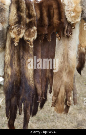 Pelli animali appeso su un mercato in stallo Foto Stock