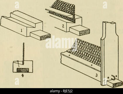. Ilustrado Catálogo de los enseres de root para apicultores. La cultura delle api. Cuadros de Hofifman.. s. Si prega di notare che queste immagini vengono estratte dalla pagina sottoposta a scansione di immagini che possono essere state migliorate digitalmente per la leggibilità - Colorazione e aspetto di queste illustrazioni potrebbero non perfettamente assomigliano al lavoro originale. A. I. Società radice. Medina, OH : Il A. I. Società radice, Medina, Ohio, E.U. A. Foto Stock