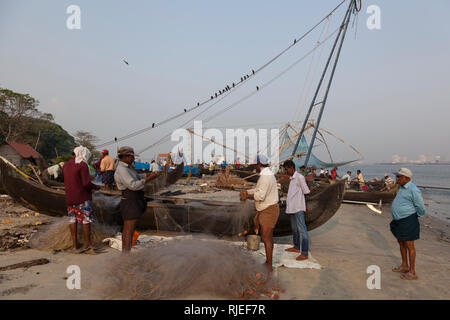 I pescatori con le loro catture di mattina, Kochi, Kerala, India Foto Stock