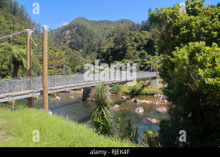 Il ponte di sospensione a Karangahake, Nuova Zelanda Foto Stock