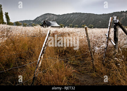 WY03204-00...WYOMING - un over cresciuto prato ricoperto di neve e un vecchio fienile dopo un tardo pomeriggio tempesta sulla riga mormone in Grand Teton National Park Foto Stock