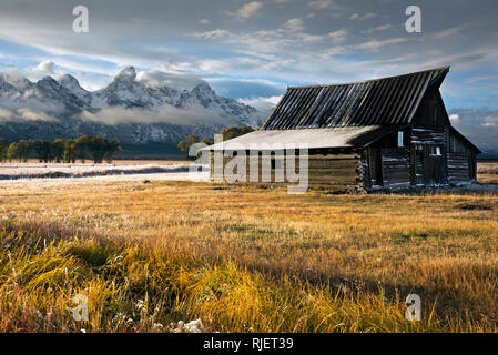 WY03205-00...WYOMING - storico fienile situato sulla riga mormone la sera dopo un inizio di stagione tempesta di neve nel Parco Nazionale di Grand Teton. Foto Stock