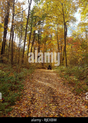 Caduta Scenic ATV ride in Castleton Ontario Foto Stock