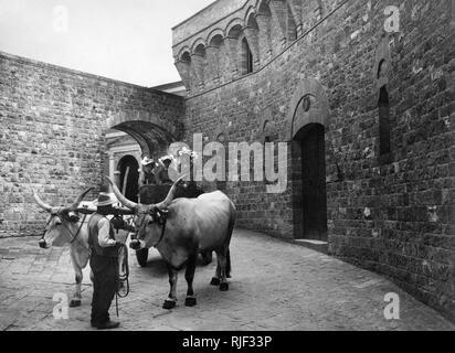 Castello di Belcaro Siena, Toscana, Italia 1910-20 Foto Stock